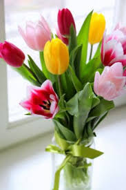 Fiori Per Compleanno Ad Ognuno Il Suo Fiore Di Buon Compleanno
