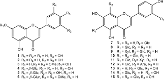 Image result for Rhynchosia sublobata