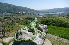 View menus and photo, read users' reviews and choose a restaurant near you. Weinwandern In Der Wachau Von Rossatz Nach Weissenkirchen