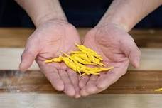 Pasta Masterclass @ Nightshift Brewery