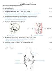 Joints Movement Worksheet