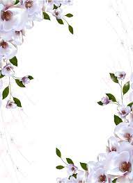 Transparent Photo Frame Beautiful Flowers Flower Frame Beautiful Flowers Flower Printable