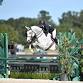 Ocala Fall Celebration