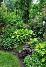 Hum I See This On The Shady North Side Of The House With Images Shade Garden Plants Beautiful Gardens Cottage Garden