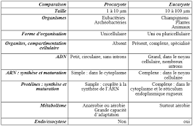 Organisation Generale De La Cellule Bio Faculte Biologie Cellulaire Cellule Vegetale Biologie