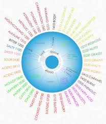 Off Flavors In Beer Detection Identification And Prevention