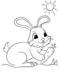 Osterhase Und Karotte Zum Ausmalen Ausmalbilder Malvorlagen Ostern Osterhase Kindergarten Osterei In 2020 Ausmalbilder Osterhase Osterhase Malen