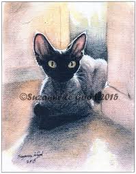 Ltd Edition Black Smoke Devon Rex Print From Original Painting Suzanne Le Good Ebay Devon Rex Devon Rex Cats Cat Painting
