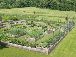 Homestead Farm Garden Layout And Design For Your Home 3 Garden Layout Farm Layout Garden Layout Vegetable