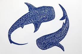 Whale Shark Print Whale Shark Tattoo Shark Art Whale Shark