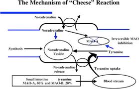 Image result for Isocarboxazid