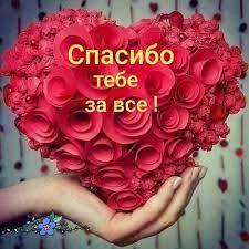     (330)  2023  |  ,  ,  
