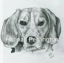 Maybe you would like to learn more about one of these? A4 Beagle Dog Pet Portrait By Hannah Penlington Pencil Drawing By Artist Ebay