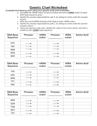 Codon worksheet answer key pdf#2331818. 33 The Genetic Code Worksheet Worksheet Resource Plans