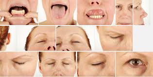 Debbie High Res Skin Texture Photo Set by 3d-sk