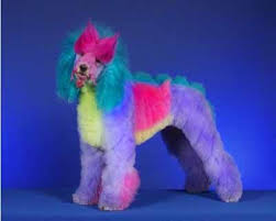 Exceptional Dogs Grooming Design Ideas And Modern Color Trends Dog Grooming Colorful Dog Poodle