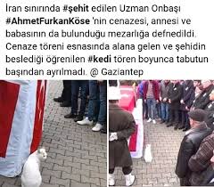 Oysa Kedilere Nankor Derler Guzel Soz Gercekler Hayata Dair Ipuclari