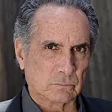 The Gentleman (2024)