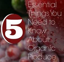 Pin On Articles On Food And Nutrition