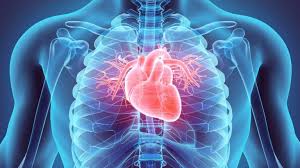 Cardiac arrest, (also known as cardiopulmonary arrest or circulatory arrest) is the cessation of normal circulation of the blood due to failure of the heart to contract effectively.1 medical personnel can refer. Antiarrhythmic Drugs Found Beneficial When Used By Ems Treating Cardiac Arrest Nhlbi Nih