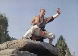 Xiao Luohan Quan Small Arhat Boxing Martial Arts Shaolin Monks Martial Arts Shaolin Kung Fu