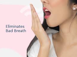 GUBB Plastic Tongue Cleaner Set For Adults & Kids, Pack of 4 : Amazon.in:  Health & Personal Care