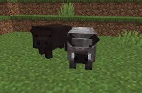 Check spelling or type a new query. Genetic Animals Mod Mod For Improved Realism And Breeding In 1 14 Wip Mods Minecraft Mods Mapping And Modding Java Edition Minecraft Forum Minecraft Forum