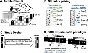 Check spelling or type a new query. Neuronal Correlates Of Label Facilitated Tactile Perception Scientific Reports
