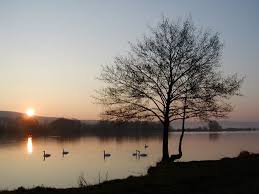 959 likes · 9 talking about this. SÄºnava Piestany Mapio Net