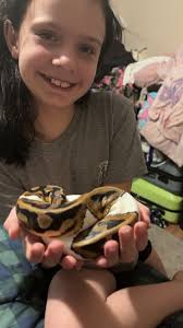 My 20 month old daughter, Willow, enjoying some quality derp time with our  firefly pied ball python, Aurora. 🌅 🐍 😀
