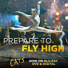 Nomeado para 1 golden globe. Cats The Movie Publicacoes Facebook