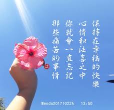 pin by 张小瑞on 佛言禅语 chinese quotes chinese phrases morning quotes