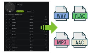 Site Officiel De Tunepat Amazon Music Converter Spotify Converter Netflix Video Downloader Listes De Lecture Netflix Amazon Musique