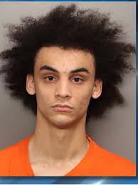 Charleston man suspected of setting fire to concrete company's trucks: DCSO