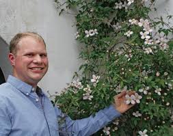 Clematis montana (mountain clematis also himalayan clematis or anemone clematis) is a flowering plant in the buttercup family ranunculaceae. Vertikal Es Windet Und Rankt Sich Nach Oben