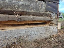 Image result for site:byggahus.se timmerman