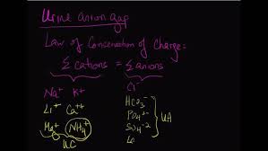 Image result for Transtubular Potassium Gradient