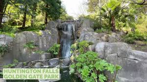 It was designed to honor john mclare n, the father o f golden gate park, with over 850 varieties of his favorite flower. Waterfall At Strawberry Hill Golden Gate Park San Francisco San Francisco Local S Guide Youtube