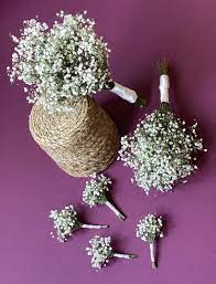 Baby S Breath Wedding Set Baby S Breath Bouquet Dried Etsy In 2021 Rustic Wedding Flowers Rustic Wedding Flowers Bouquet Babys Breath Bouquet Wedding