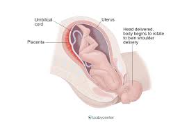 What Are The Stages Of Labor And Delivery Babycenter