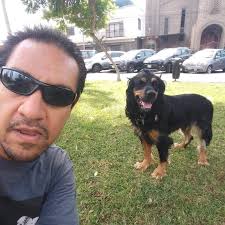 Daniel Andrés Corvera Marchant