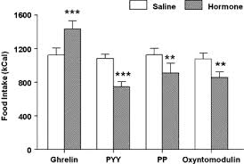 Genstone chicago brick 22.5 in. The Hypothalamus Hormones And Hunger Alterations In Human Obesity And Illness Sciencedirect
