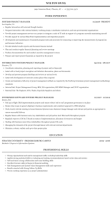 Risk management project manager resume examples & samples. Systems Project Manager Resume Sample Mintresume