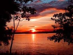 Jpeg 2000 was an image encoding system created by the joint photographic experts group in 2000 that was designed to be better than the jpeg standard already in place. Explore Over 300 000 Free Stock Photos And Royalty Free Images Freeimages Com