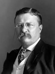 Teddy Roosevelt and the Crucible of Adversity that made him President
