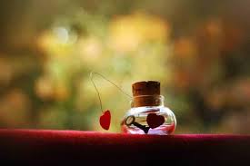 ������ ���� ������! images?q=tbn:ANd9GcQ