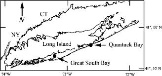 Study Sites In Great South Bay And Quantuck Bay New York