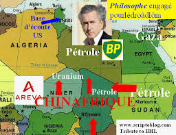 Résultat de recherche d'images pour "bhl entarté"