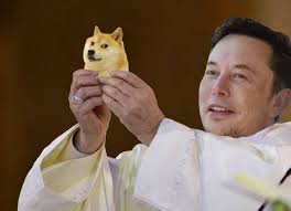 В tiktok прорекламировали криптовалюту doge. Dojo 4 Doge Elon Musk Dogecoin Memes Trend Online After Latest Tweet
