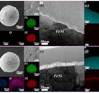 Enhancing Magnetic Performance of FeNi50 Soft Magnetic ...
